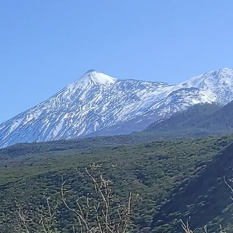 Sommet enneigé du Mont Teide vu depuis la forêt verdoyante de Tenerife, Îles Canaries, Espagne